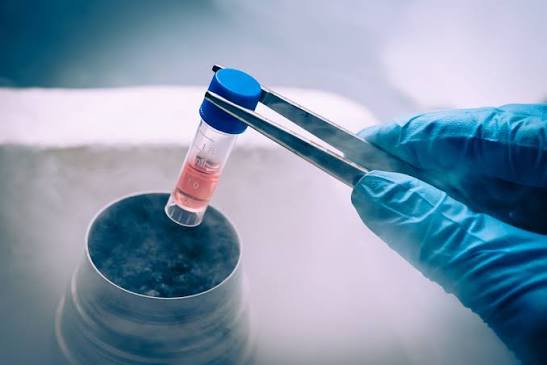 Eggs & Embryo Freezing Treatment in Noida Laboratory at Anaya IVF & Fertility Care